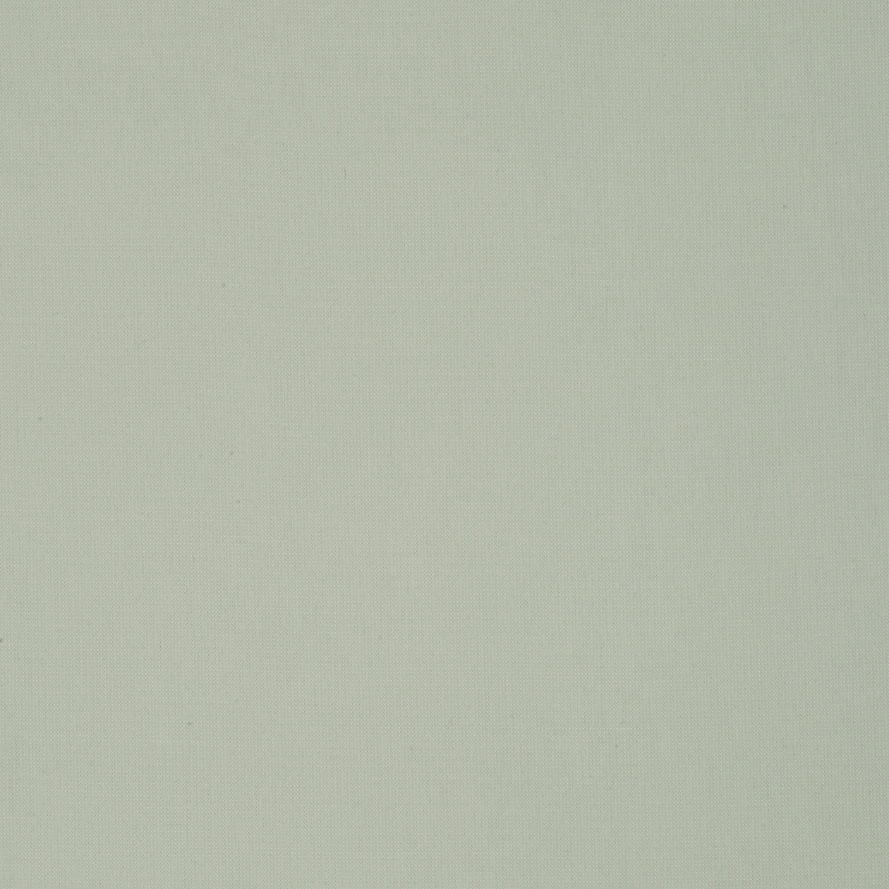 KY-2405