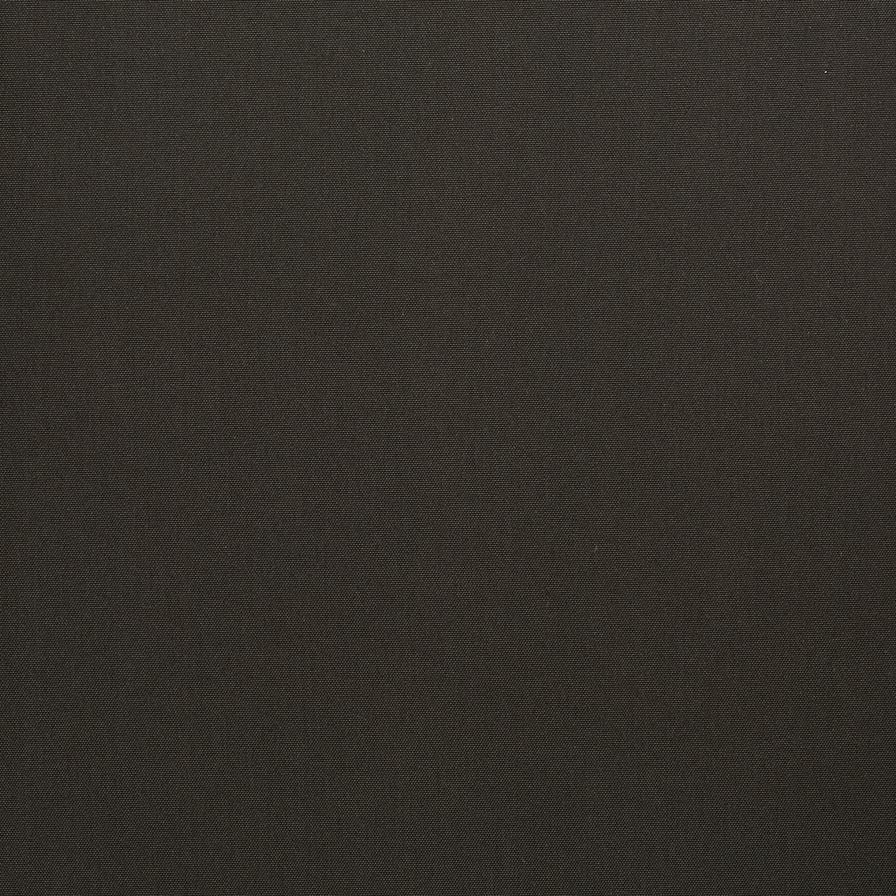 P/NP4101