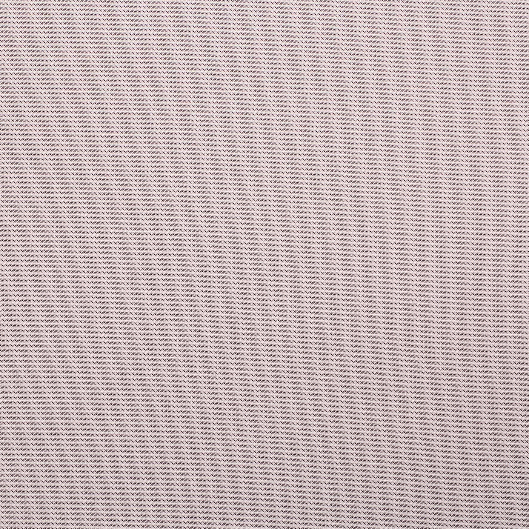 SC 2489-10